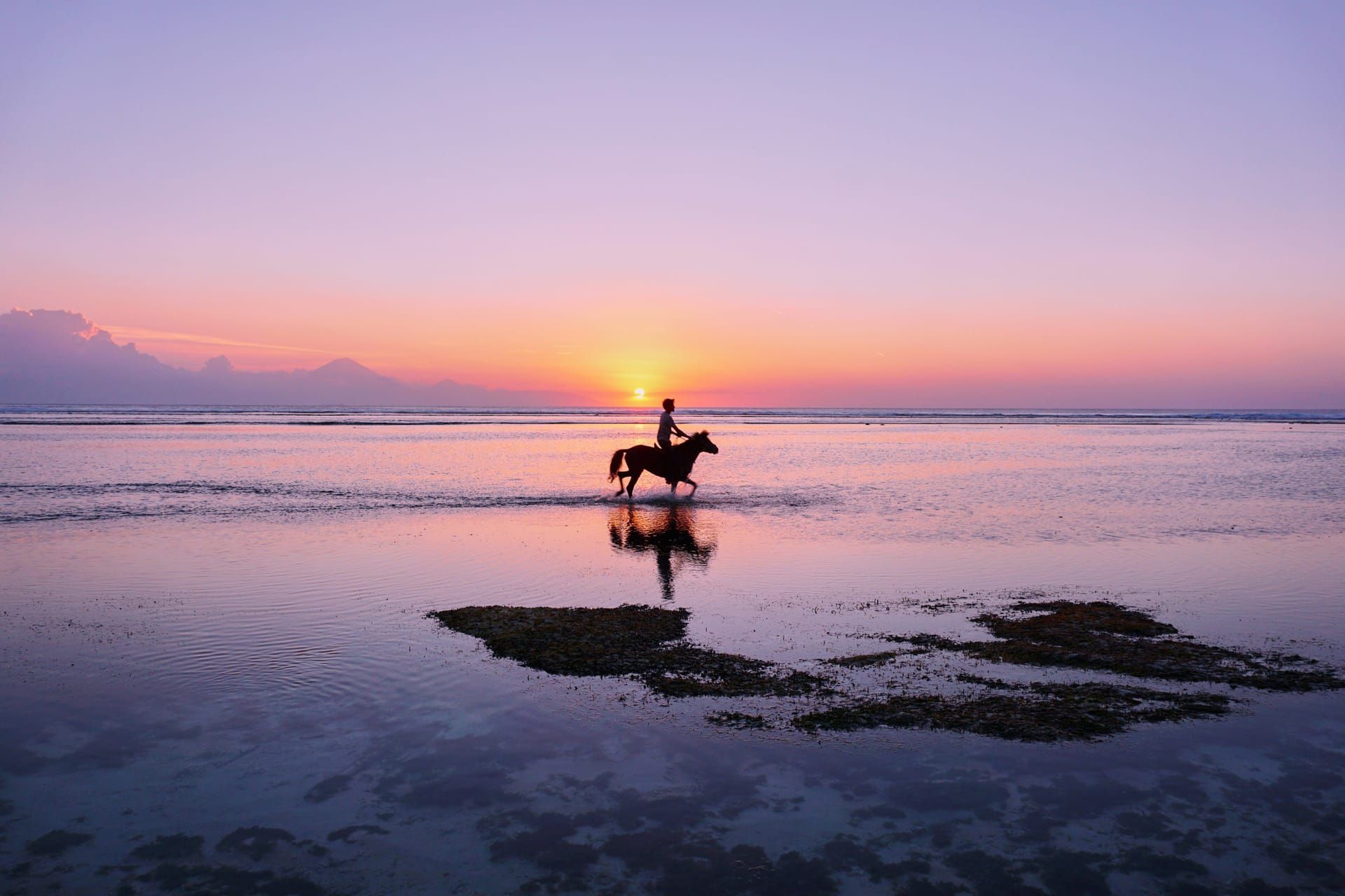A horse and rider in the shallows at sunset