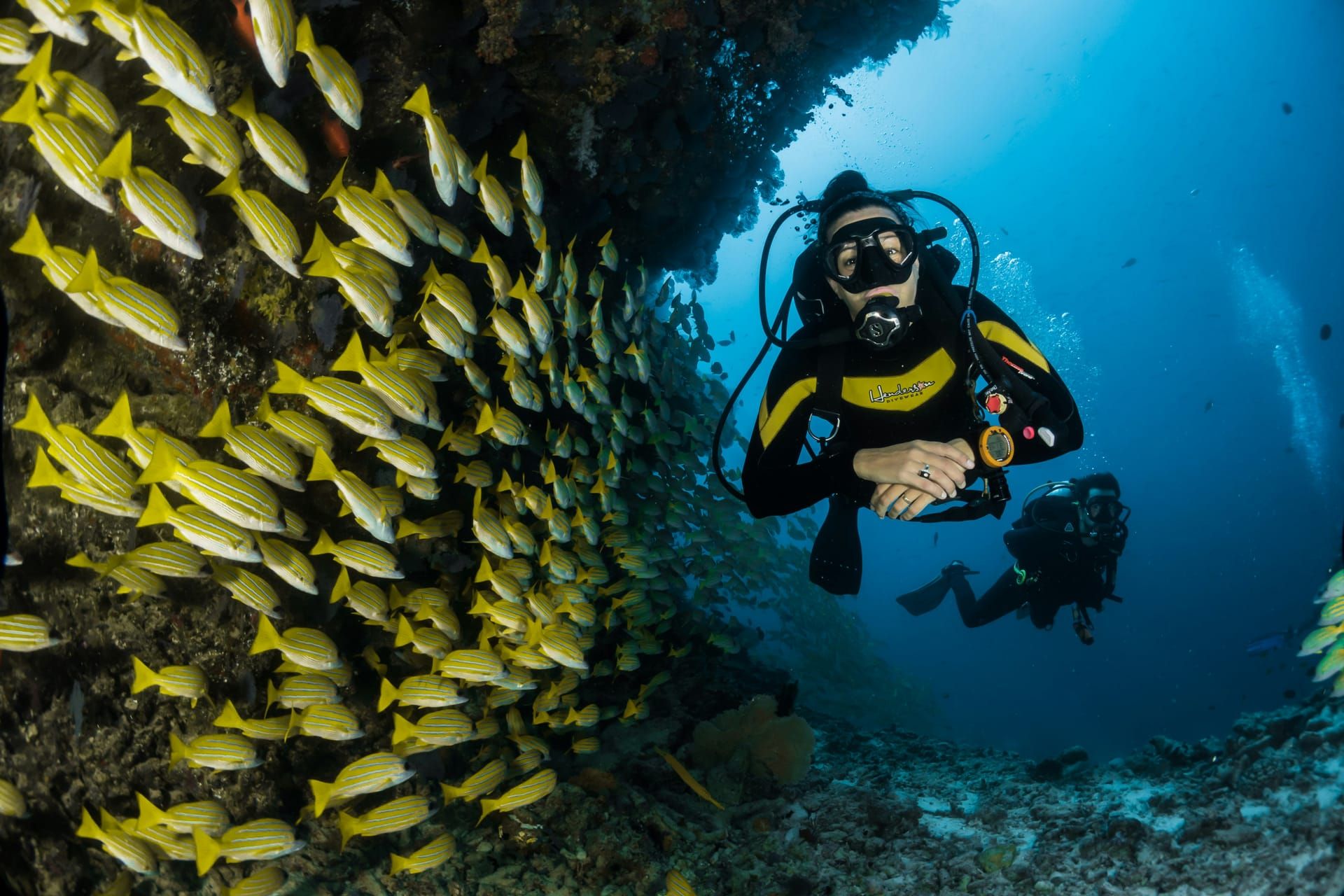 A diver among a school of yellow snapper
