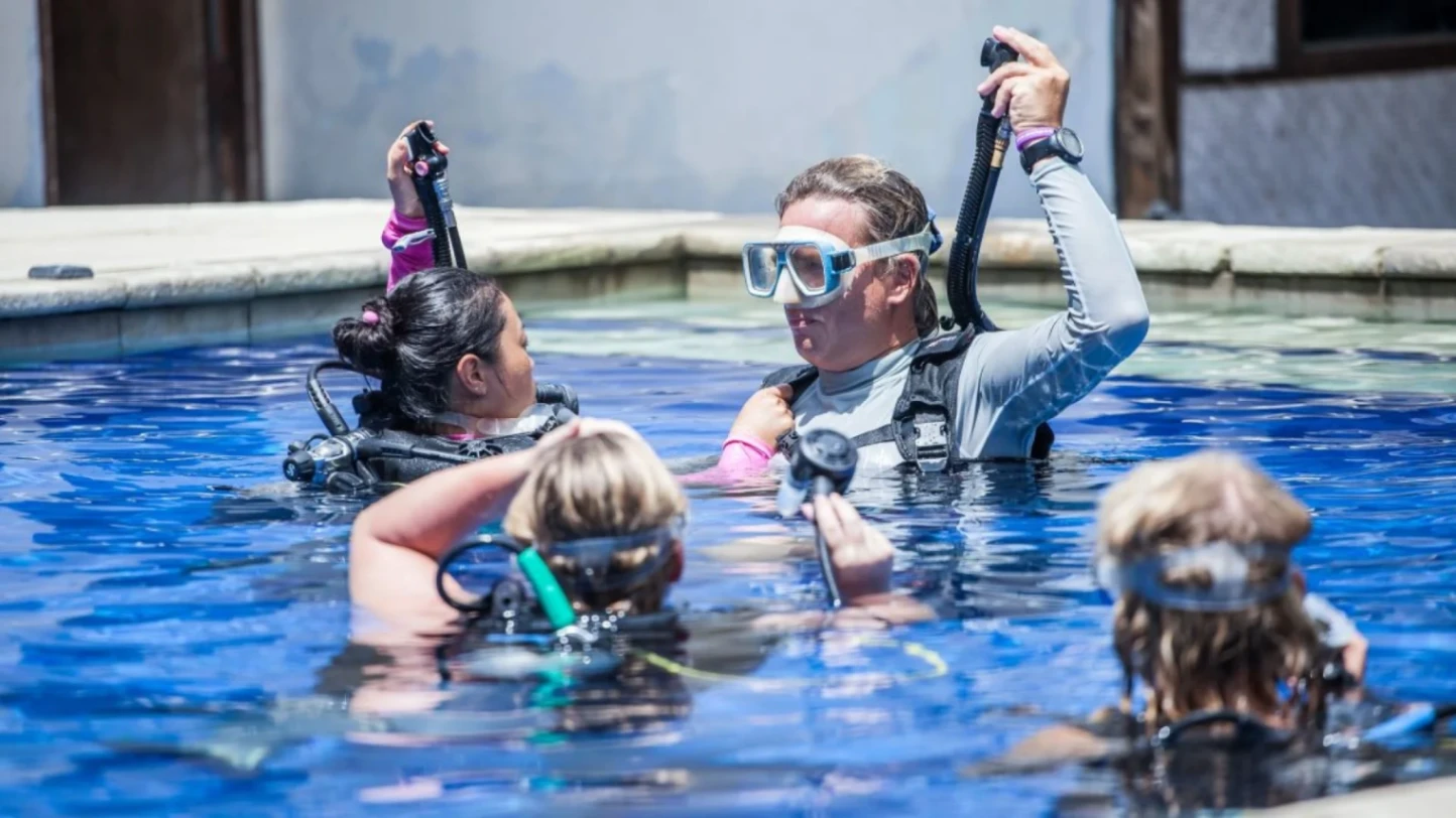 Open Water Diver Course with Odysseic Divers on Gili Trawangan