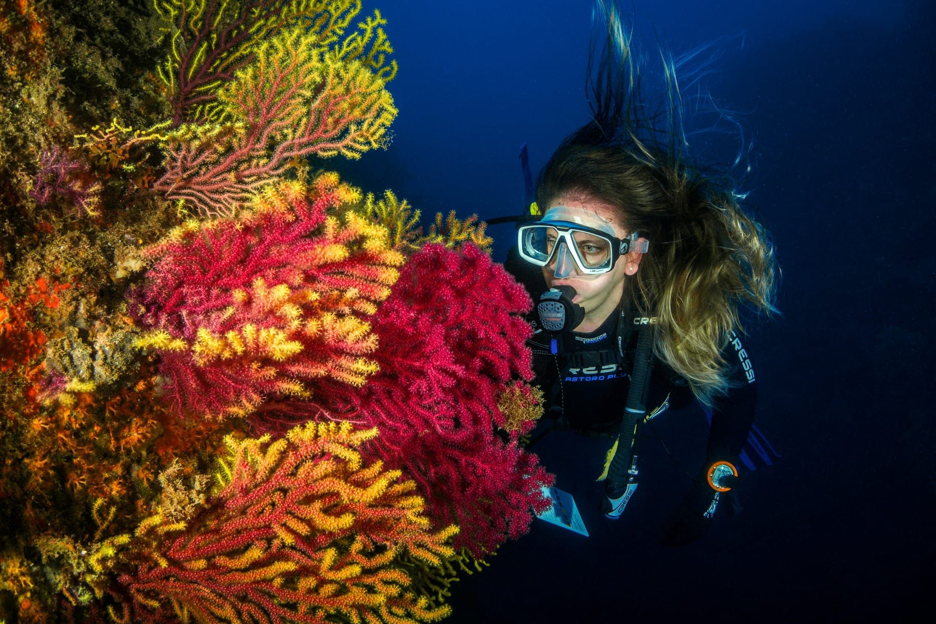 A diver beside bright red and orange sea fans
